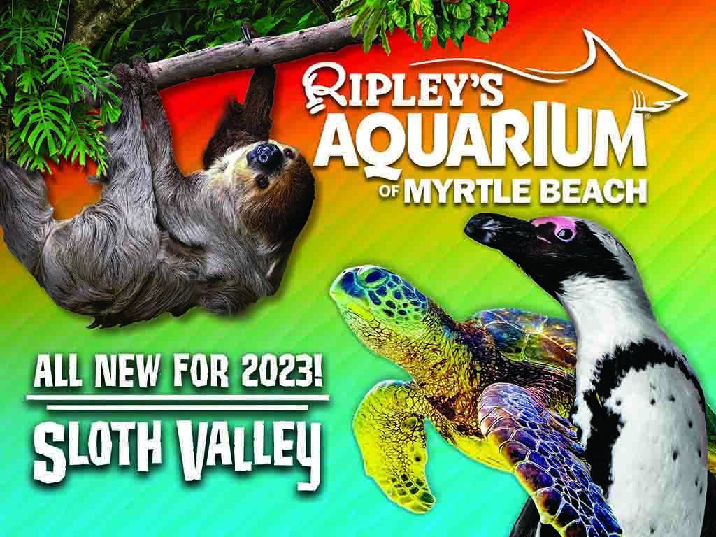 ripley-s-aquarium-in-myrtle-beach-south-carolina-expedia